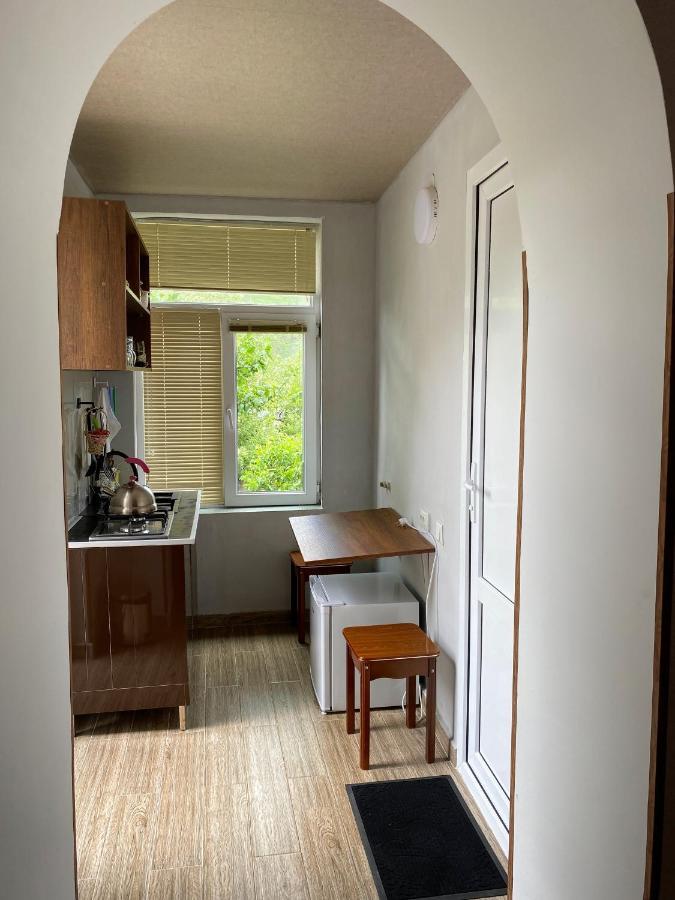 Dato Khetaguri Apartment Kazbegi Kültér fotó